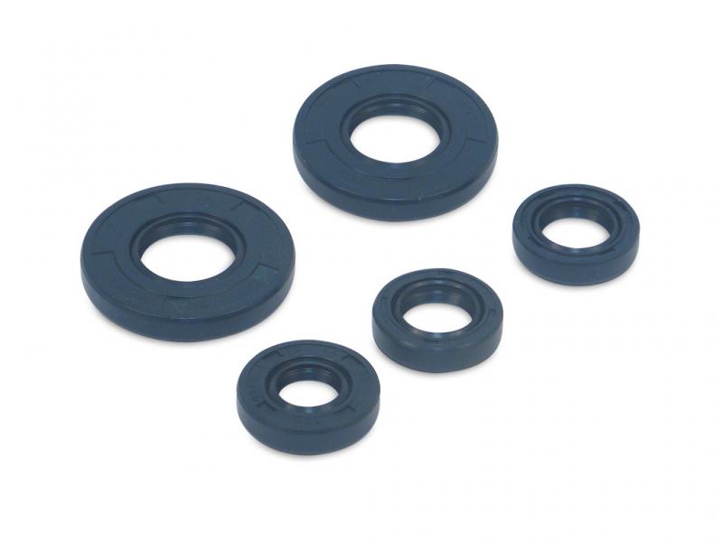 Wellendichtringe im Satz Blau MZ ES 150 250 TCK MZ